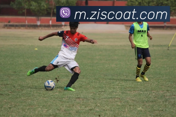 乐动app服务体系